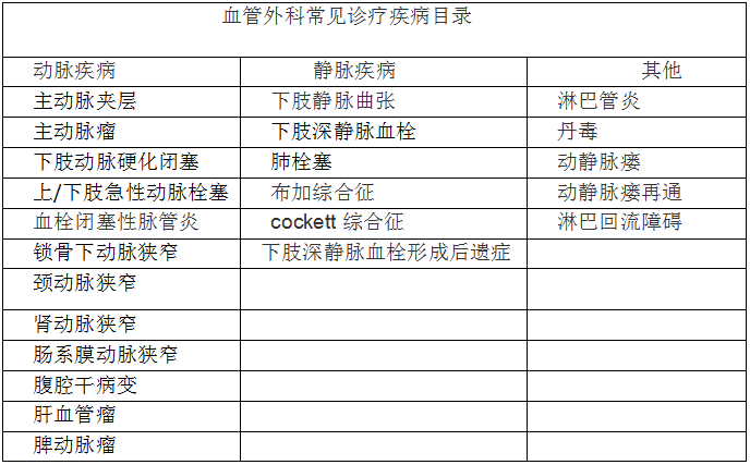 达州市副市长最新名单及其职能概述