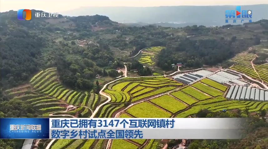 临洮最新消息，曹贵林的风采与贡献